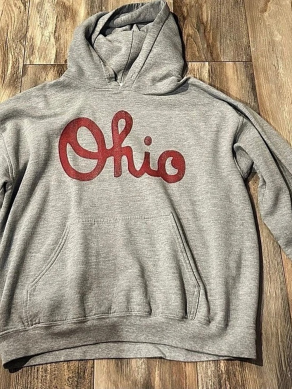 Gildan Heavy Blend Hooded Sweatshirt Ohio Graphic Hoodie Gray